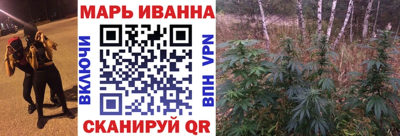 где найти   Шахунья  Канабис индика 